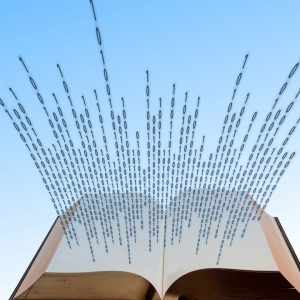 caille sa dematerialisation factures