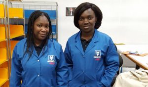 groupes caille archives nationales site v2