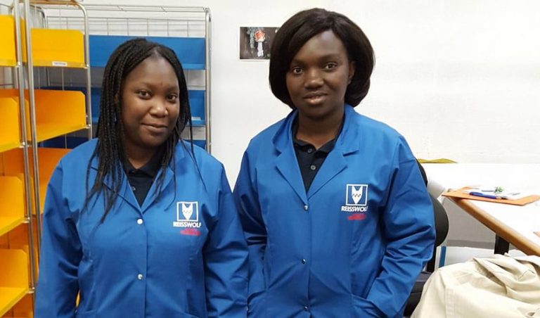 groupes caille archives nationales site v2