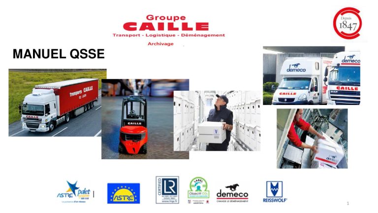 manuel qse v6 25 06 2019 1