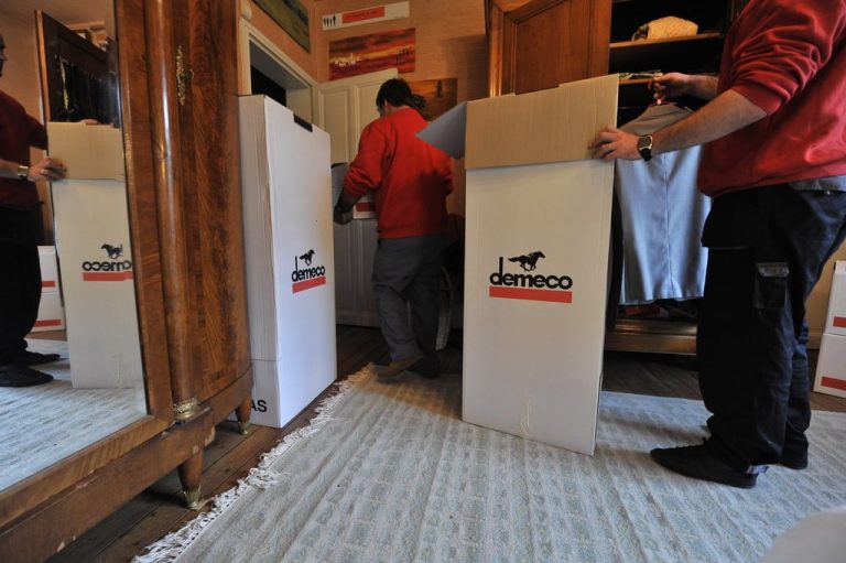 cartons demenagements