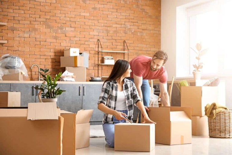 demenagement 1000 kms